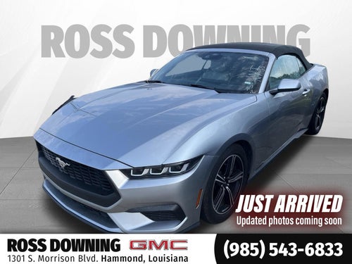 2024 Ford Mustang EcoBoost