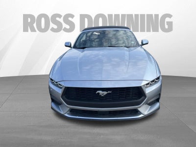 2024 Ford Mustang EcoBoost
