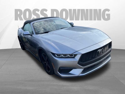 2024 Ford Mustang EcoBoost