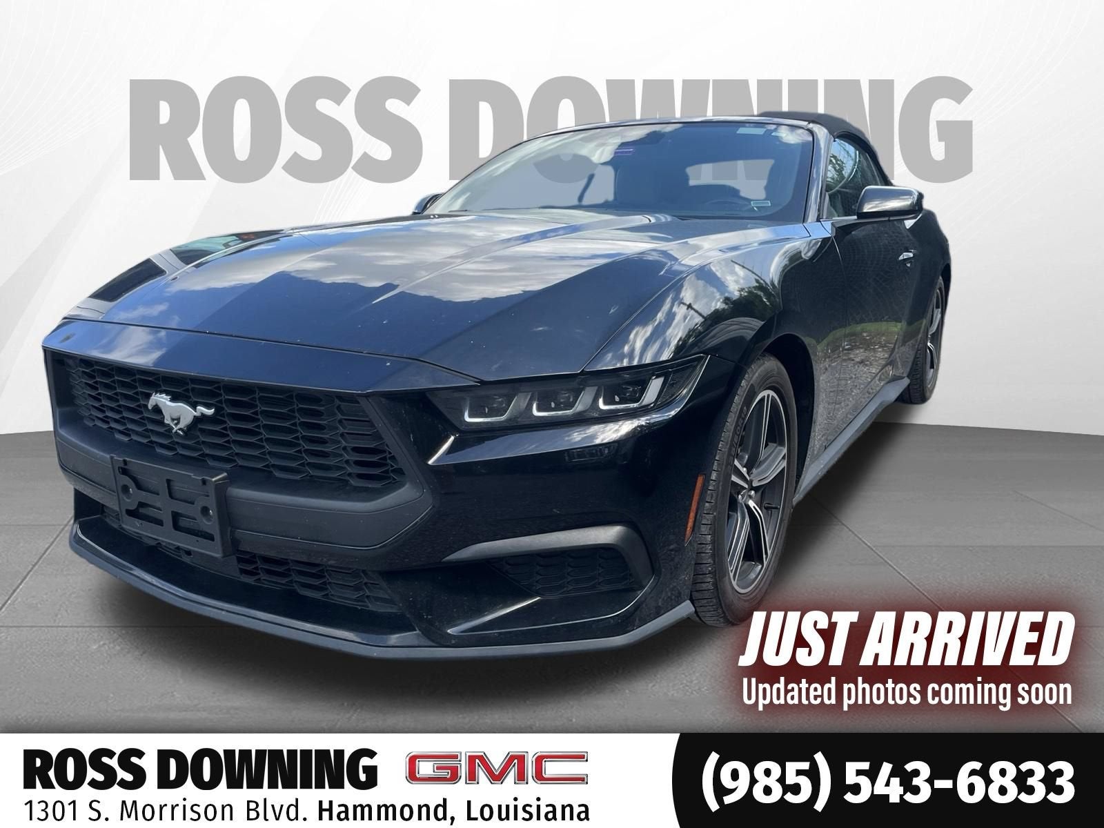 2024 Ford Mustang EcoBoost